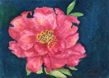 "Grandma's Rose" by Jane Kraeuche Olson, New Glarus WI - Watercolor